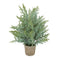 14" Potted Pine Tree