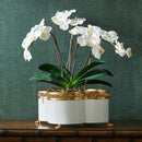Chelsea House White & Gold Quatrefoil Cachepot