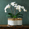 Chelsea House White & Gold Quatrefoil Cachepot