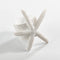 Set of 4 White Starfish Napkin Rings