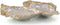 John Richard Double Oyster Dish