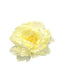Set of 4 White Peony Napkin Rings