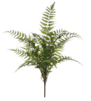 Large Green Fern Bush