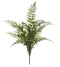 Large Green Fern Bush
