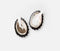 Pair of Abalone Shell Pinch Bowls