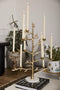 Effervescent Candelabra Tree