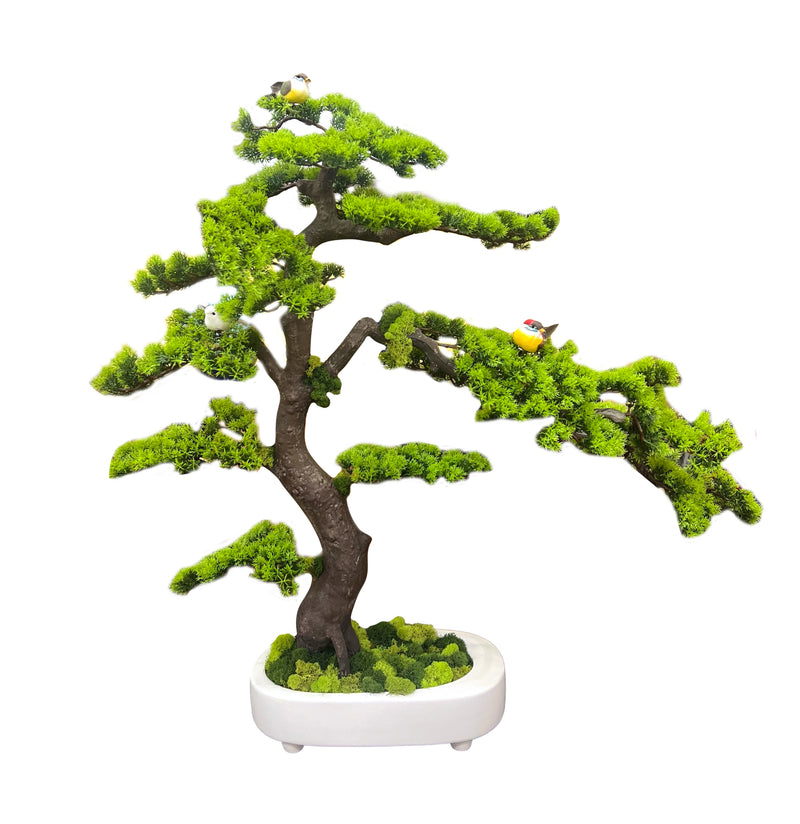 3' Bonsai Tree in White Pot