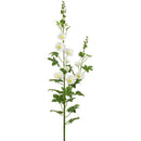 71" White Hollyhock Spray