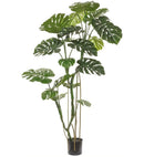 7' Monstera Tree