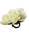 Set of 4 White Peony Napkin Rings