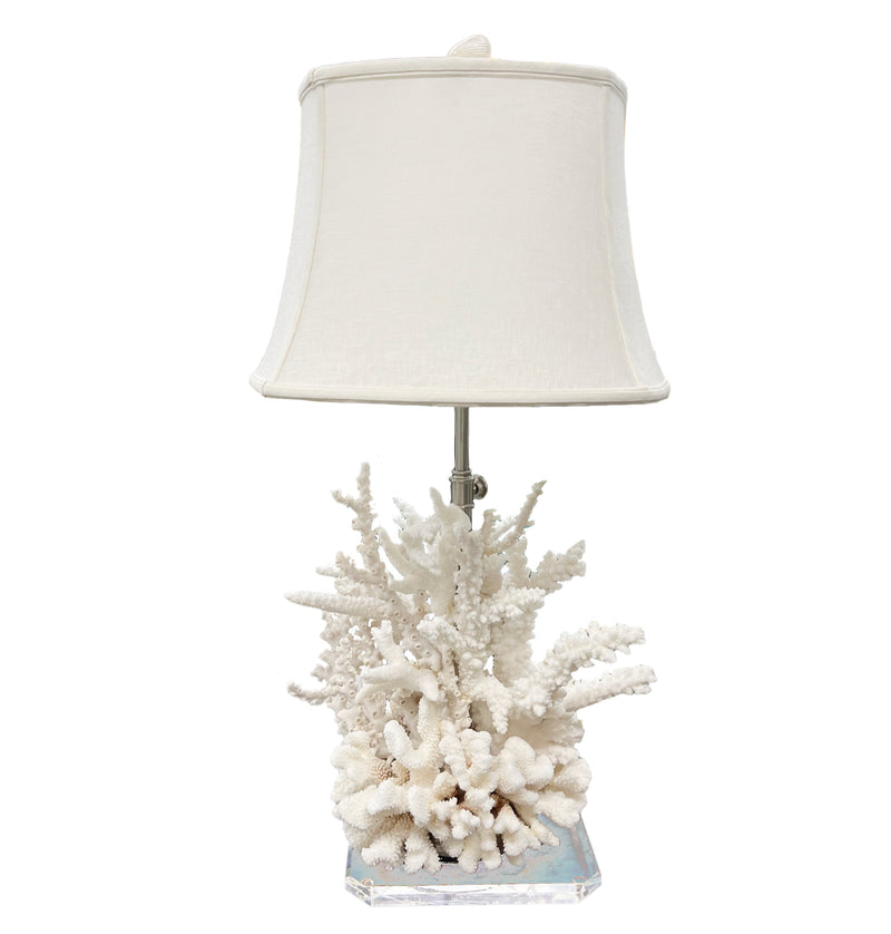 Coral Table Lamp with Lucite Base