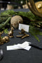 Set of 4 Bird Name Card Holders