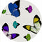 Set of 4 Acid Blue Butterflies Pebble Placemats