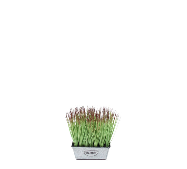 21" Spotted Wheat Grass in Rectangle Window Box