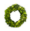 6" Mini Preserved Boxwood Wreath