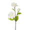 White Gardenia Spray