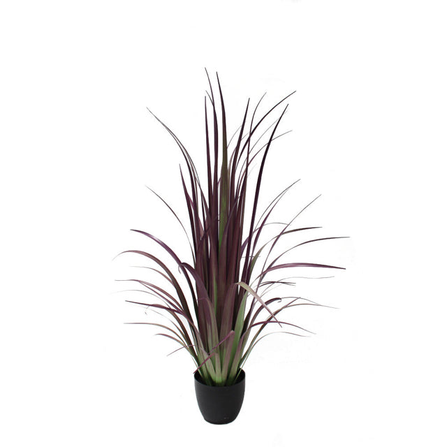 4' Potted Gladiolus Grass Purple