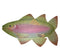 Set of 4 Rainbow Trout