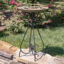 Stephania Medium Gold Frosted Iron Birdbath with Bird Details