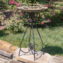 Stephania Large Gold Frosted Iron Birdbath with Bird Details