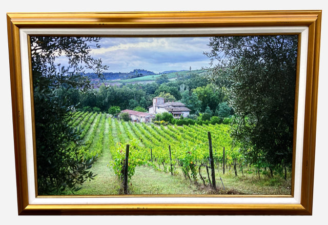 Giclee Enhanced Photo Vineyards