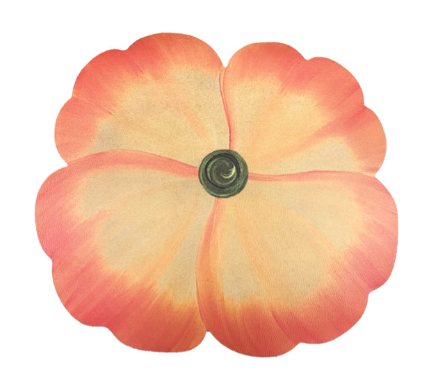 Set 4 Orange Garden Party Pansie  Placemats
