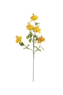 Yellow Flowers Stem