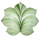 Set of 4 Mint Seven Point Leaf Placemats