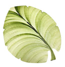 Set of 4 Hand Painted Palm Leaf Placemats