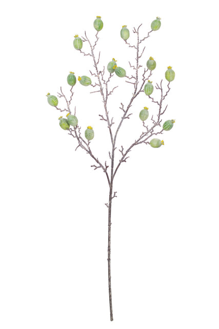 Green Fruit Stem