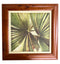 Fanned Palms in Wood Frame
