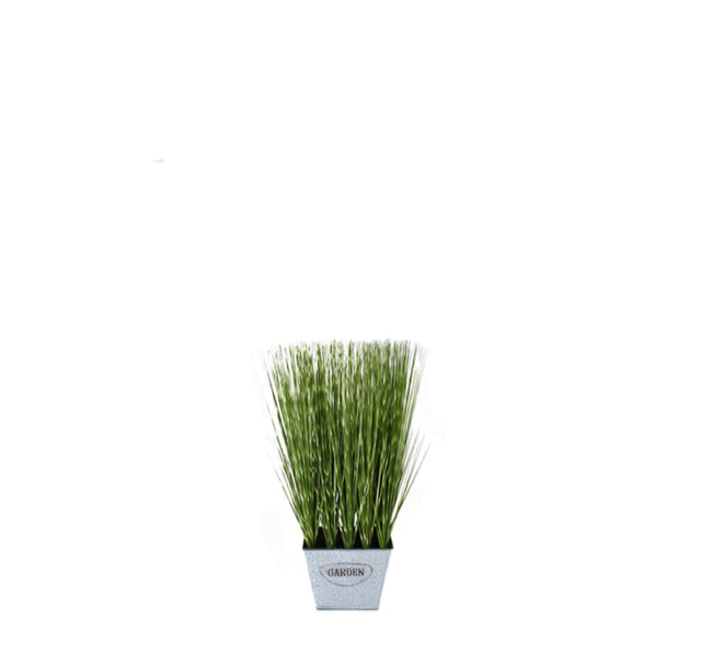 18" Spotted Wheat Grass in Square Window Box