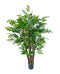 4' Potted Murraya Tree